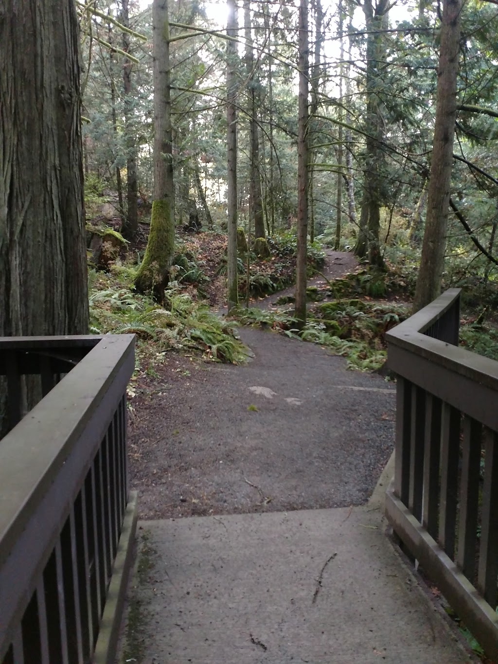 Manley Creek Park | Ratcliffe Rd, Cobble Hill, BC V0R 1L4, Canada