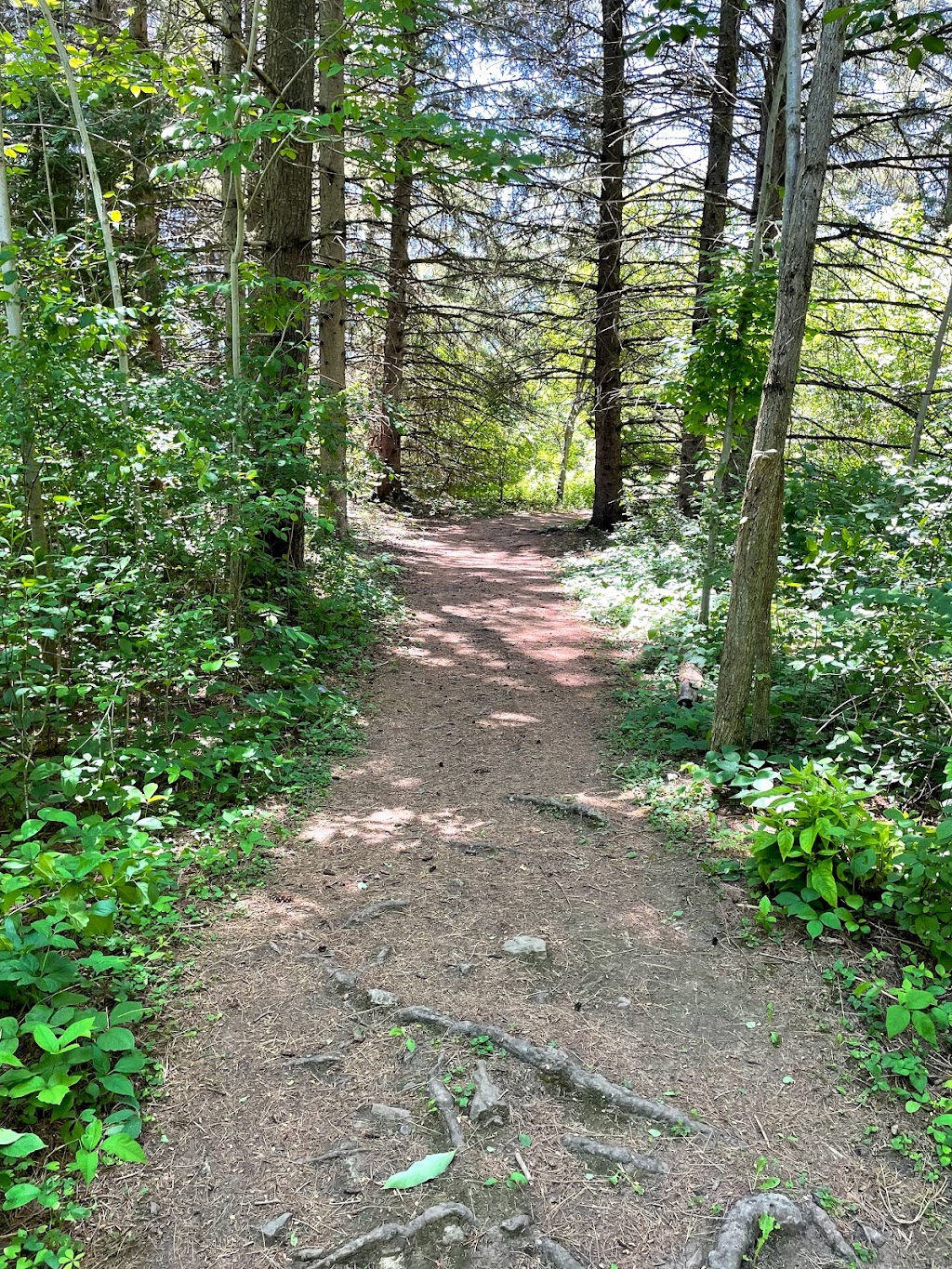 Caledon Trailway, start of the trail | Caledon Trailway Path, Caledon, ON L0P 1N0, Canada | Phone: (905) 584-2272 ext. 4235