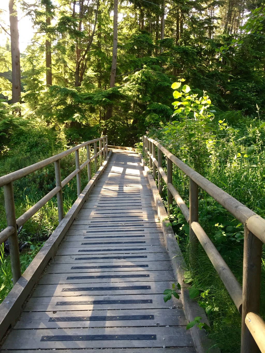 Camosun Bog | Imperial Dr, Vancouver, BC V6S, Canada