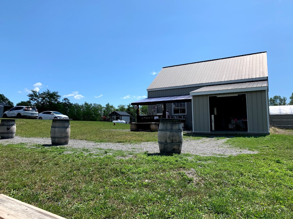 Gravel Hill Vineyards | 2J0, 567 Closson Rd, Hillier, ON K0K 2J0, Canada | Phone: (613) 399-1857