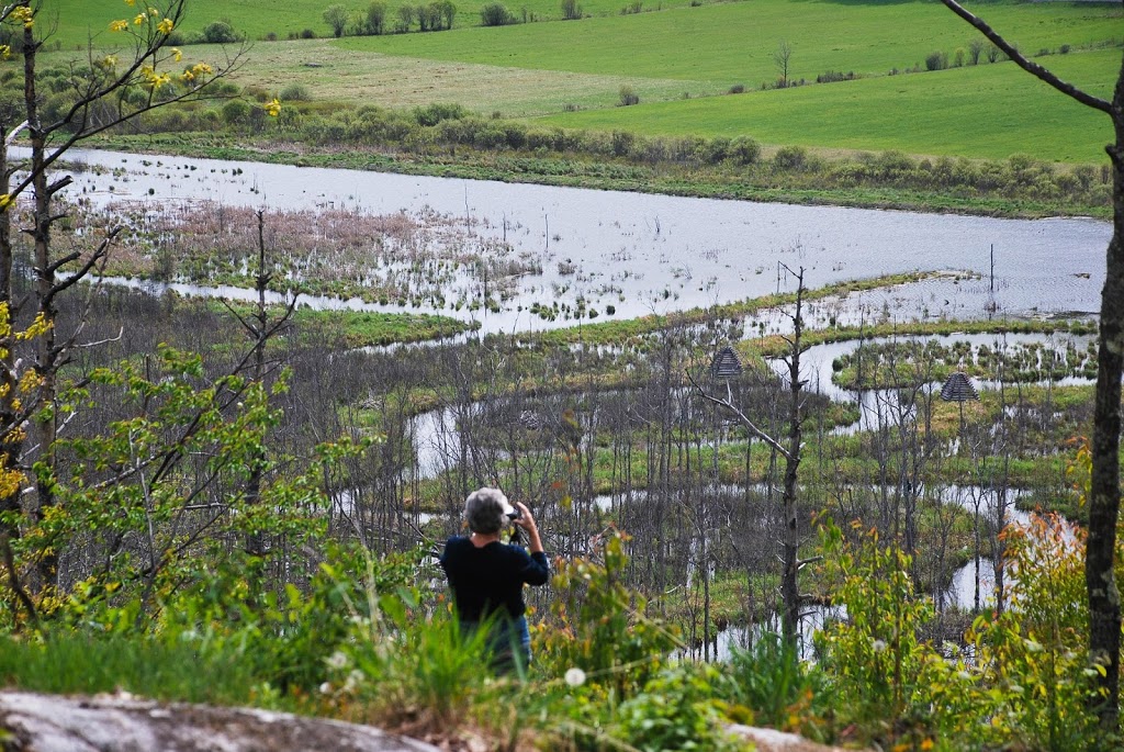 Eco-Odyssee | 52 Chemin des Sources, Wakefield, QC J0X 3G0, Canada | Phone: (819) 459-2551