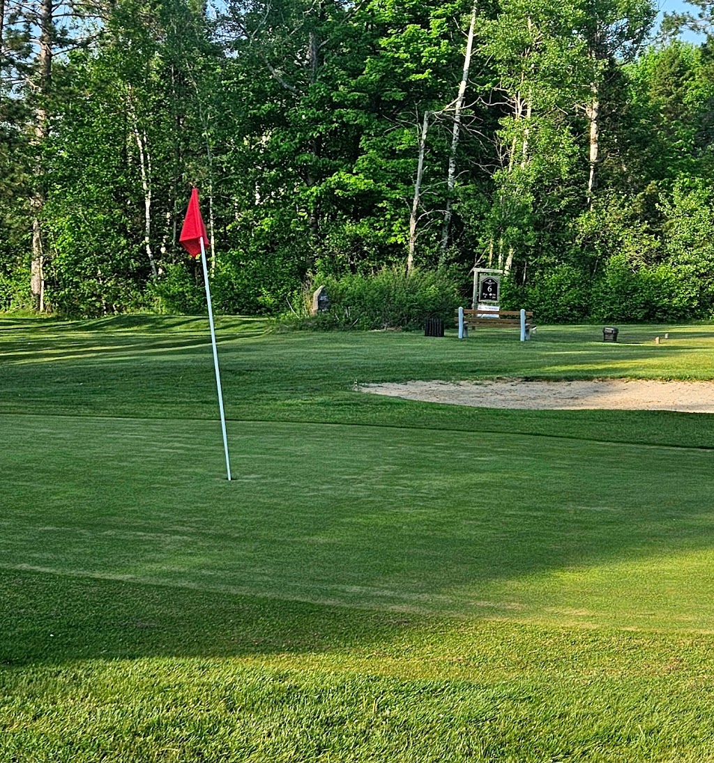 The Ridge Golf Club | 328 Sunny Ridge Rd, Sundridge, ON P0A 1Z0, Canada | Phone: (705) 384-5844