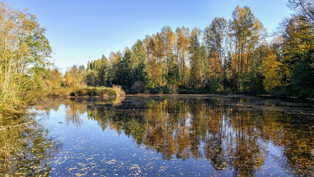 Fishtrap Creek Park | 31480 Maclure Rd, Abbotsford, BC V2T 5G6, Canada | Phone: (604) 853-2281