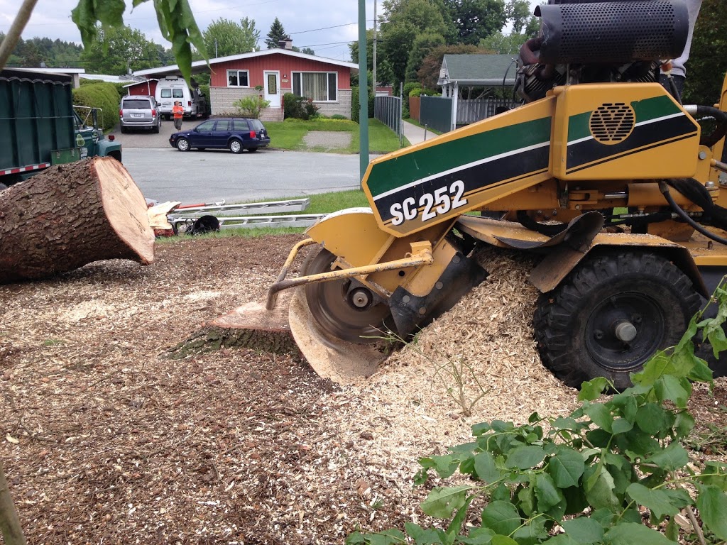 Verti-Go Arboriculture | 82 Rue des Diamants, Sherbrooke, QC J1G 3Z8, Canada | Phone: (819) 345-2749