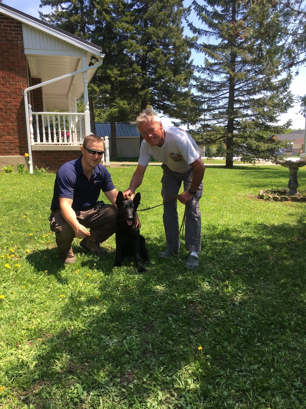 Radiopet Hidden Dog Fencing | 252 Wessenger Dr, Barrie, ON L4N 8R4, Canada | Phone: (705) 739-8885