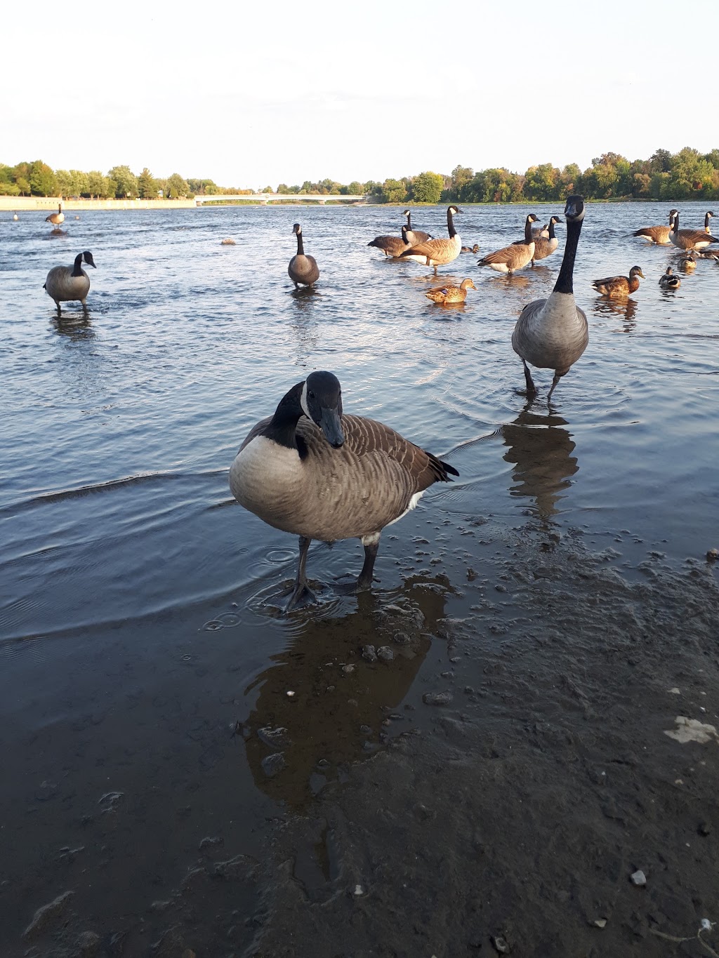 Parc de la Halte-Routière | 4800 Côte de Terrebonne, Terrebonne, QC J6W 6J4, Canada