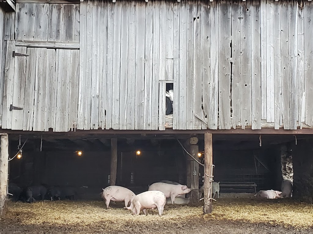 Coopers CSA Farm & Maze | 266 Ashworth Rd, Zephyr, ON L0E 1T0, Canada | Phone: (905) 830-4521