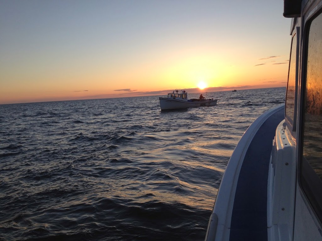 Misty Blue Waters - Deep Sea Charters on PEI | Wharf Rd, Covehead, PE C0A 1P0, Canada | Phone: (902) 569-7838