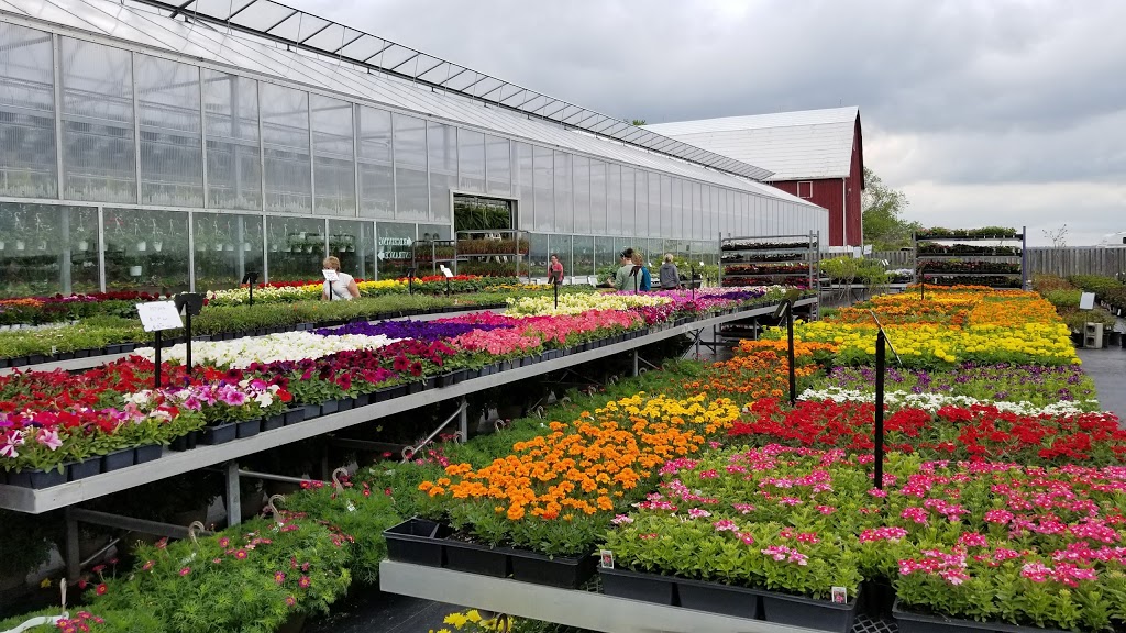 Century Home and Garden Greenhouses | 1431 ON-7A, Port Perry, ON L9L 1B5, Canada | Phone: (905) 985-2672