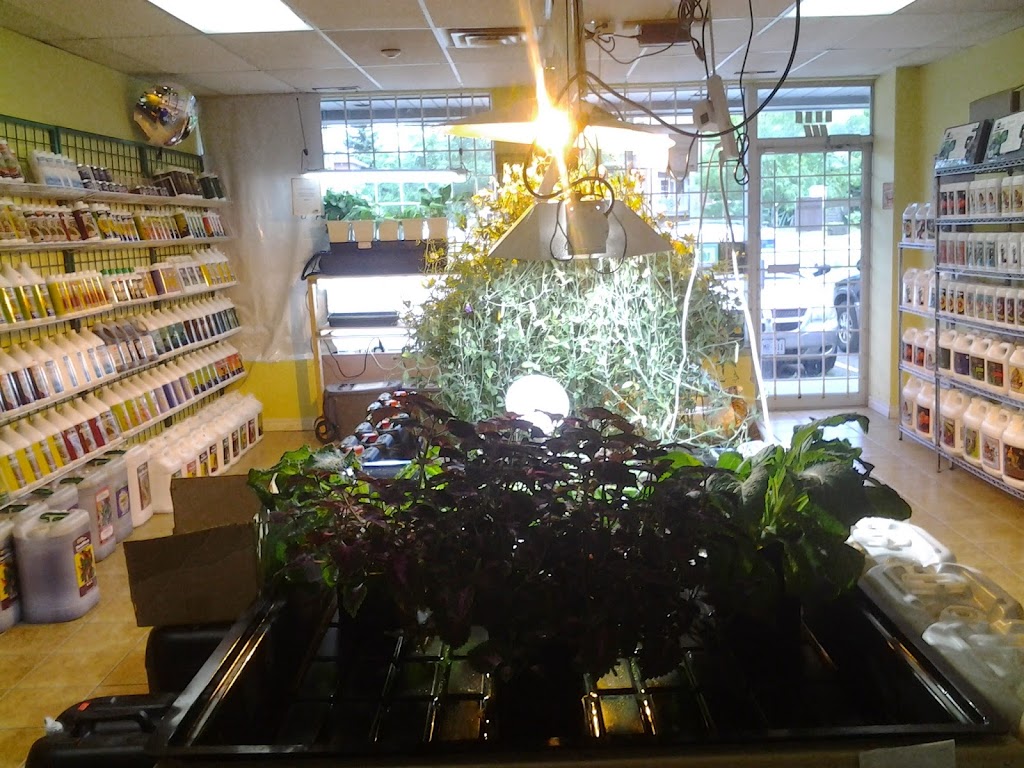 Brite-Lite Indoor Garden Centre | 1675 Cyrville Rd #104, Gloucester, ON K1B 3L7, Canada | Phone: (613) 842-8999