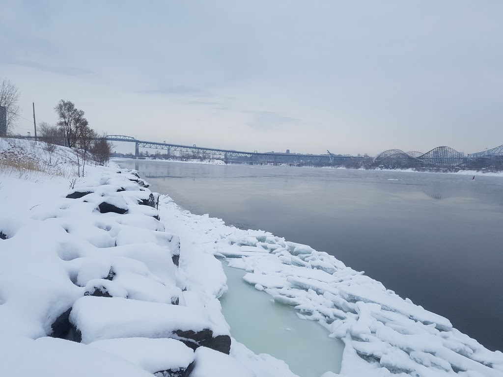 Parc Marie-Victorin | 701 Rue Pierre-Dupuy, Longueuil, QC J4K 1A1, Canada