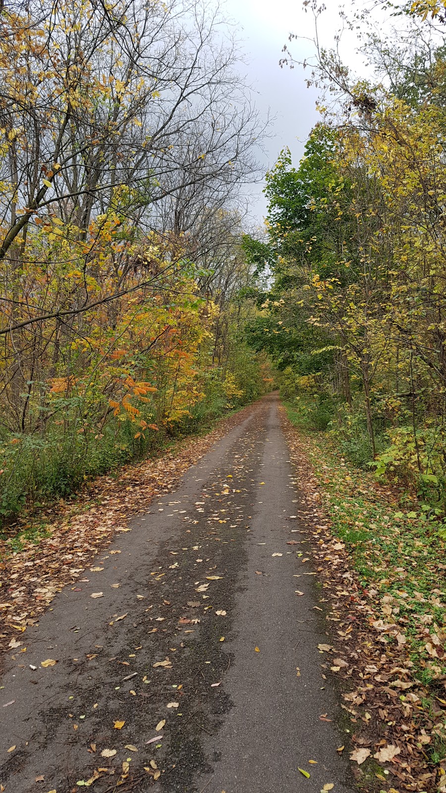 Escarpment Rail Trail Lookout | Escarpment Rail Trail, Hamilton, ON L8T, Canada | Phone: (289) 769-5155