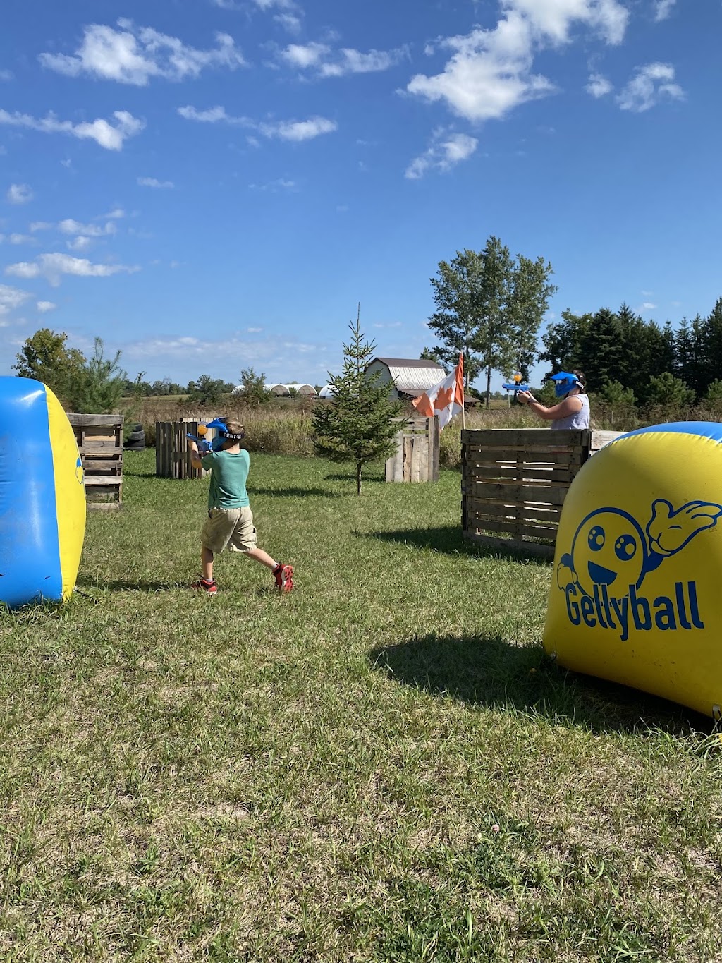 Stirling GellyBall | 476 Hoards Rd, Stirling, ON K0K 3E0, Canada | Phone: (647) 669-6044