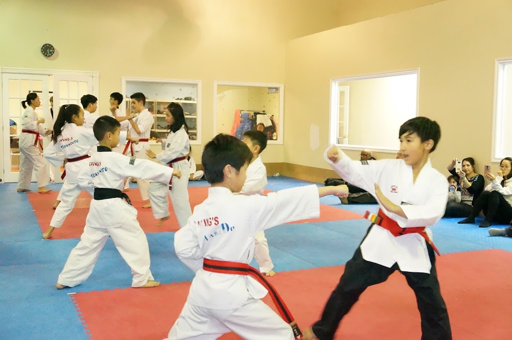 Chungs Taekwondo & Martial Arts | 344 Newkirk Rd, Richmond Hill, ON L4C 3G7, Canada | Phone: (905) 237-5232