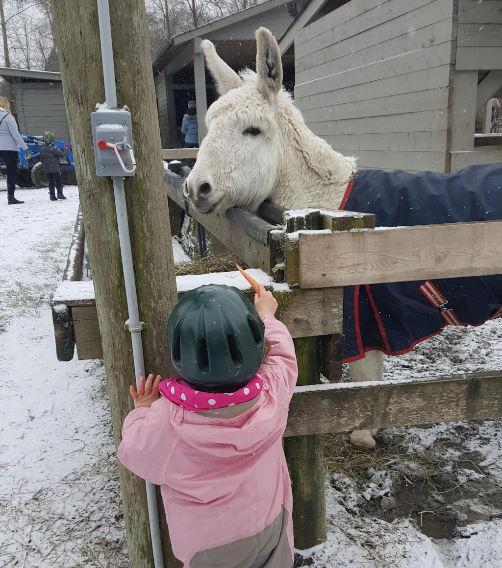 Hazelmere Acres Preschool & Daycare | 257 192 St, Surrey, BC V3S 9R9, Canada | Phone: (604) 536-6367