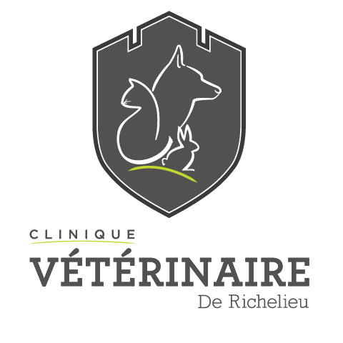 Clinique Vétérinaire De Richelieu | 539 Boulevard Richelieu, Richelieu, QC J3L 4Y3, Canada | Phone: (450) 403-4313