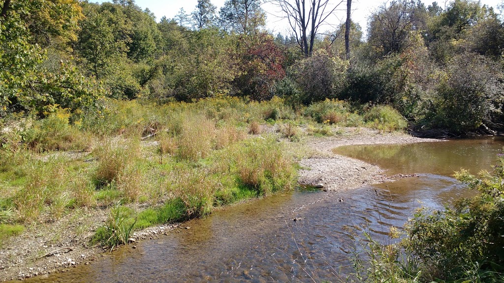 Bee Space @ the Kortright Centre | Woodbridge, Vaughan, ON L4L 1A6, Canada