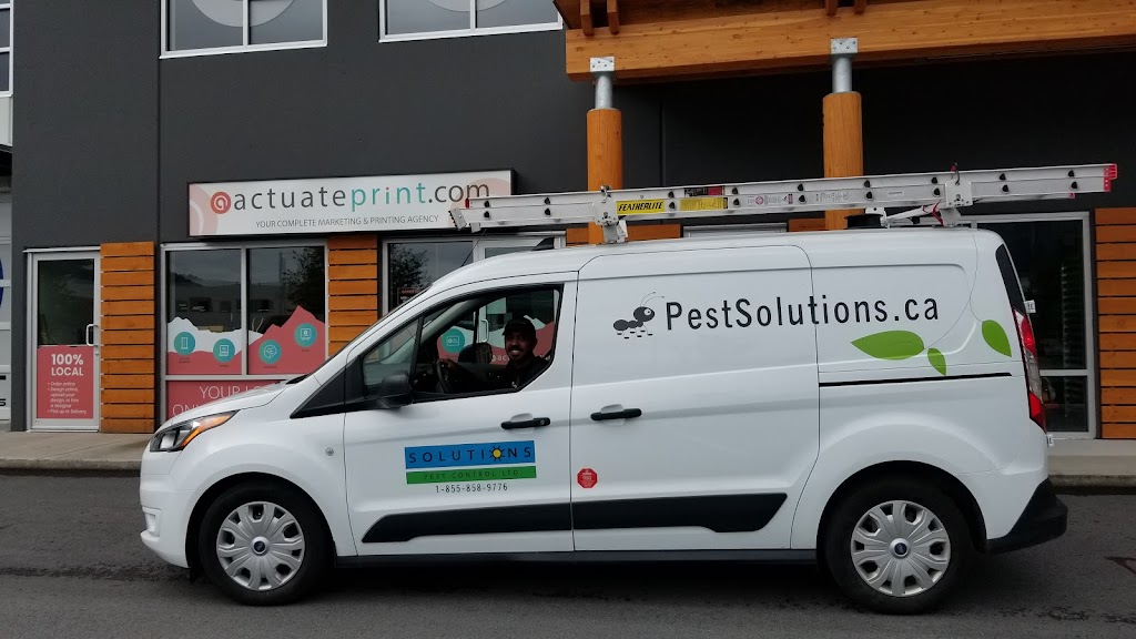 Solutions Pest Control | 2912 E 54th Ave, Vancouver, BC V5S 1Y5, Canada | Phone: (855) 858-9776