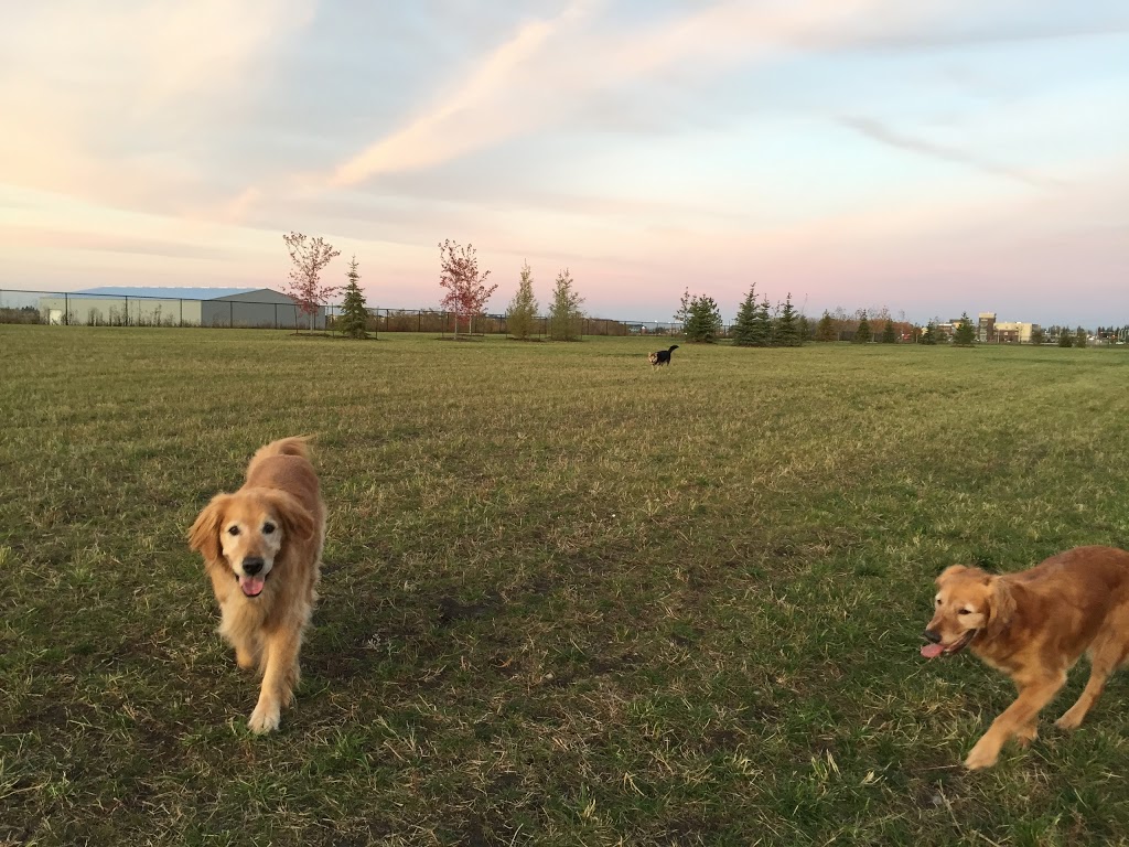 Sally Stewart Park | Buckingham Business Park, Sherwood Park, AB T8H 2C5, Canada