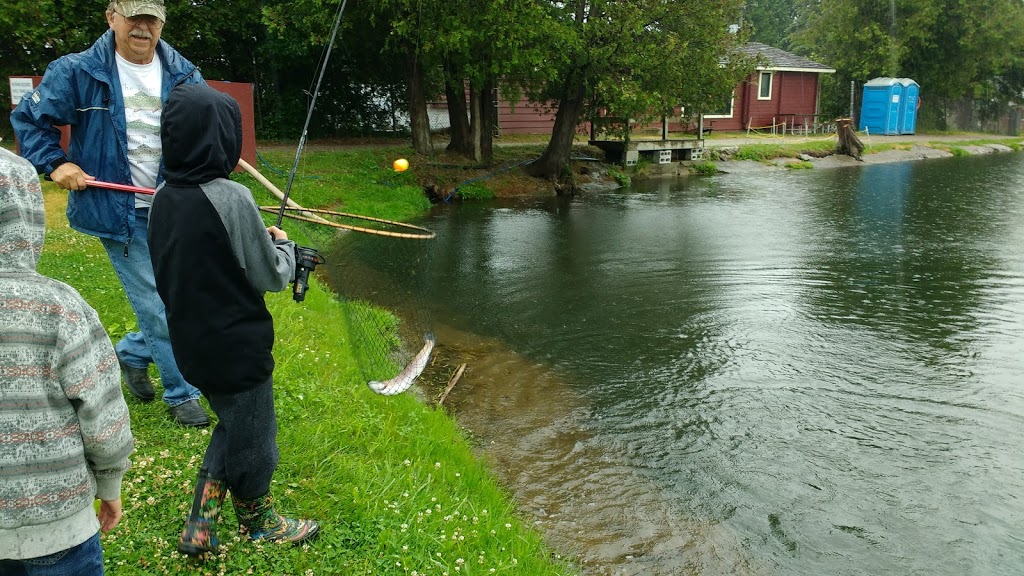 Lyndon Fishing Pond | 1745 Huron Rd, New Hamburg, ON N3A 3E4, Canada | Phone: (519) 696-3474