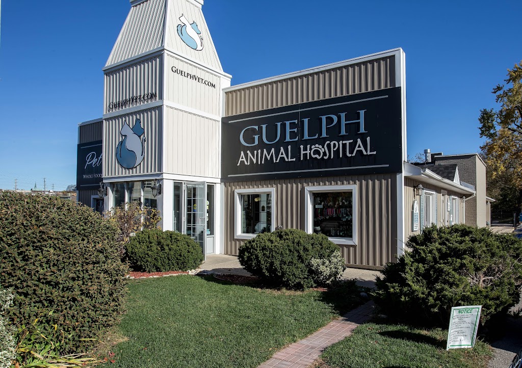 Guelph Animal Hospital | 110 Gordon St, Guelph, ON N1H 4H6, Canada | Phone: (519) 836-2782