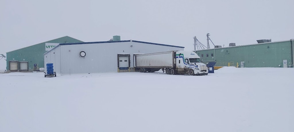 Viterra Taber Bean Plant | 6 km East on, AB-3, Taber, AB T1G 2E1, Canada | Phone: (403) 223-2772