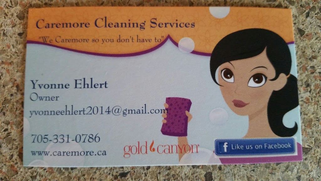 Caremore Cleaning Services | 81 Cityview Cir, Barrie, ON L4N 7V1, Canada | Phone: (705) 331-0786