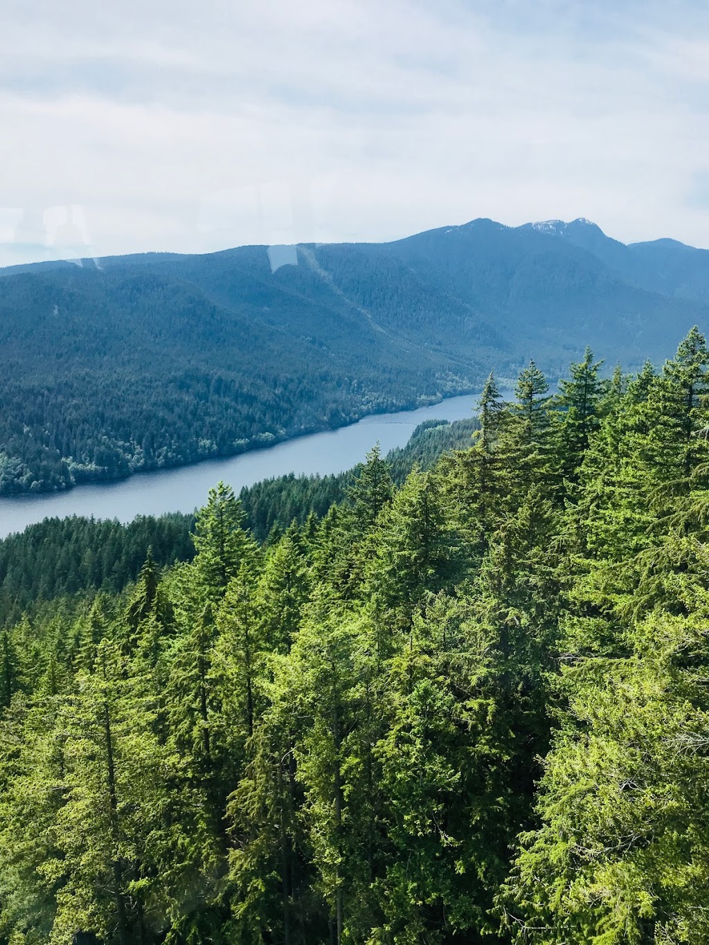 Grouse Grind | Grouse Grind, North Vancouver, BC V7R 4K9, Canada