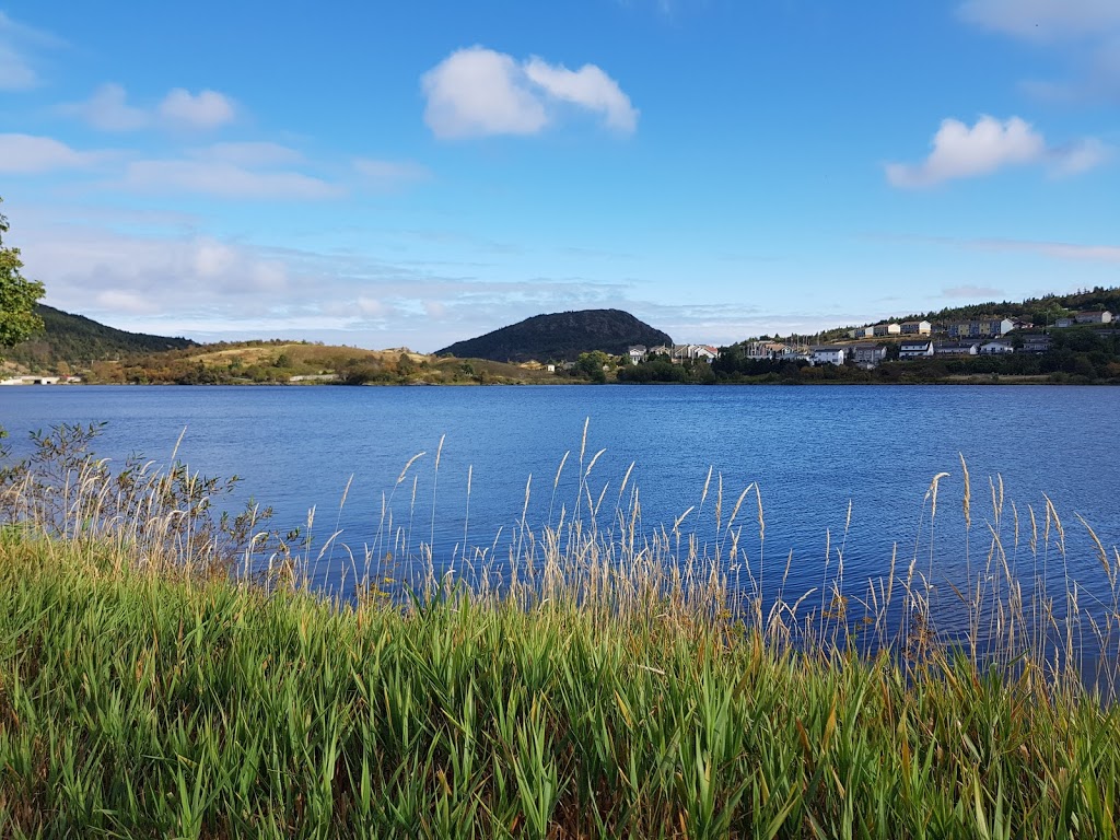 Quidi Vidi Park | 157 The Blvd, St. Johns, NL A1A 1K3, Canada