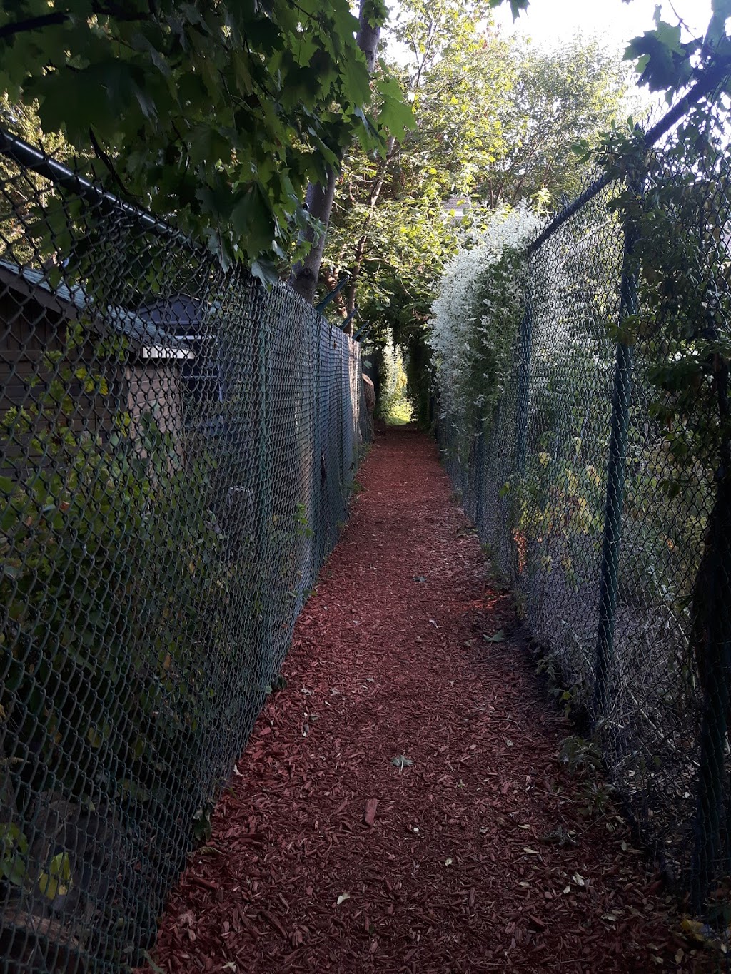 Back Alley Of Rathnelly | Rathnelly, Toronto, ON M4V, Canada