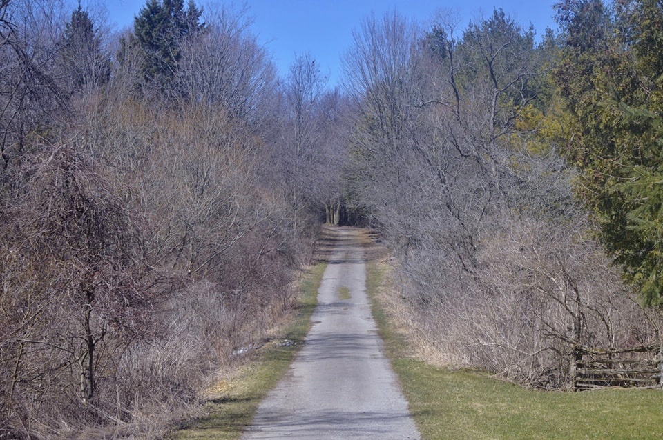 Chesney Wilderness Area Trail | Oxford Road 29, Blandford-Blenheim, ON N0J 1M0, Canada | Phone: (866) 900-4722