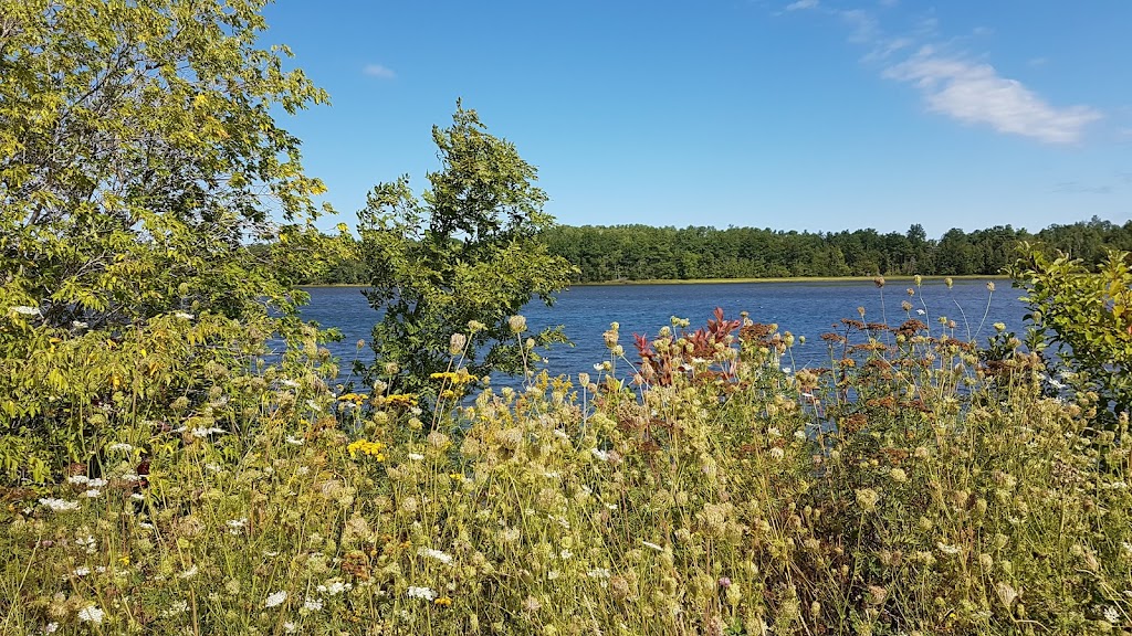 Tatamagouche Farmers Market | 41 Creamery Rd, Tatamagouche, NS B0K 1V0, Canada | Phone: (902) 664-4237