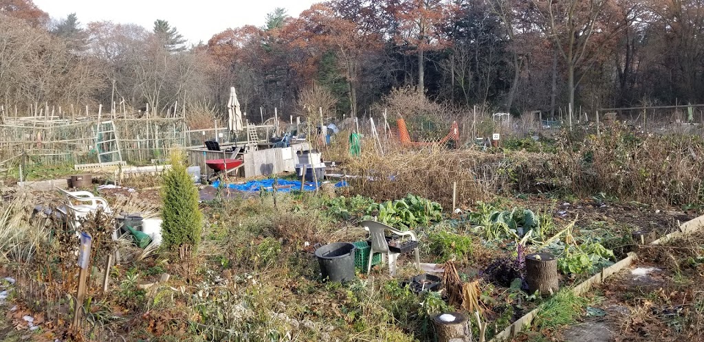 High Park Allotment Garden | High Park-Swansea, Toronto, ON M6R, Canada | Phone: 416-392-8188