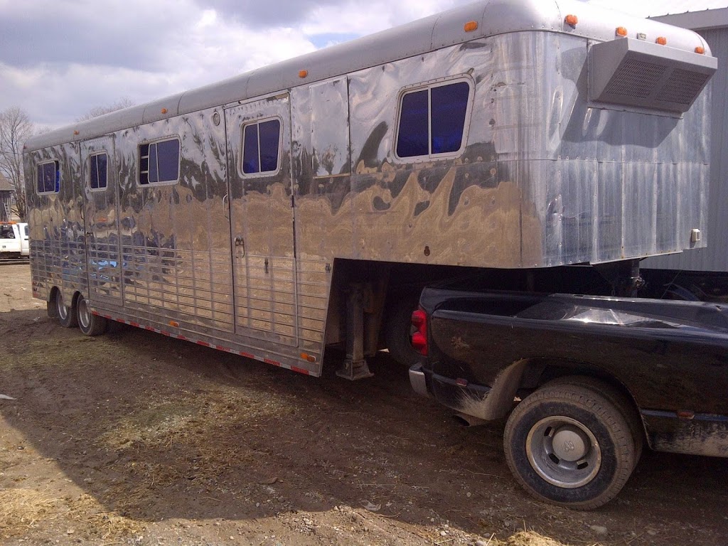 The Horse Limo | 5644 Wellington Road 23, Erin, ON N0B 1T0, Canada | Phone: (519) 278-1447