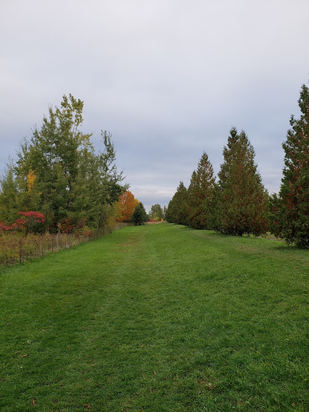 Parc Canin | Unnamed Road, LÉpiphanie, Quebec, QC J5X 2X3, Canada