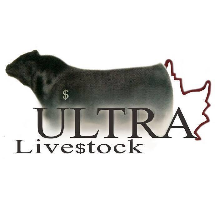 Ultra Livestock | RR #2, Carstairs, AB T0M 0N0, Canada | Phone: (403) 337-5881