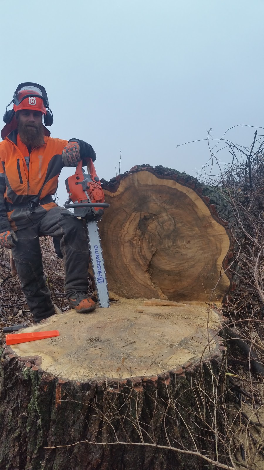Abattage d arbres carcajou | 3045 Rang Simple N, Saint-Félicien, QC G8K 2N8, Canada | Phone: (418) 637-9588