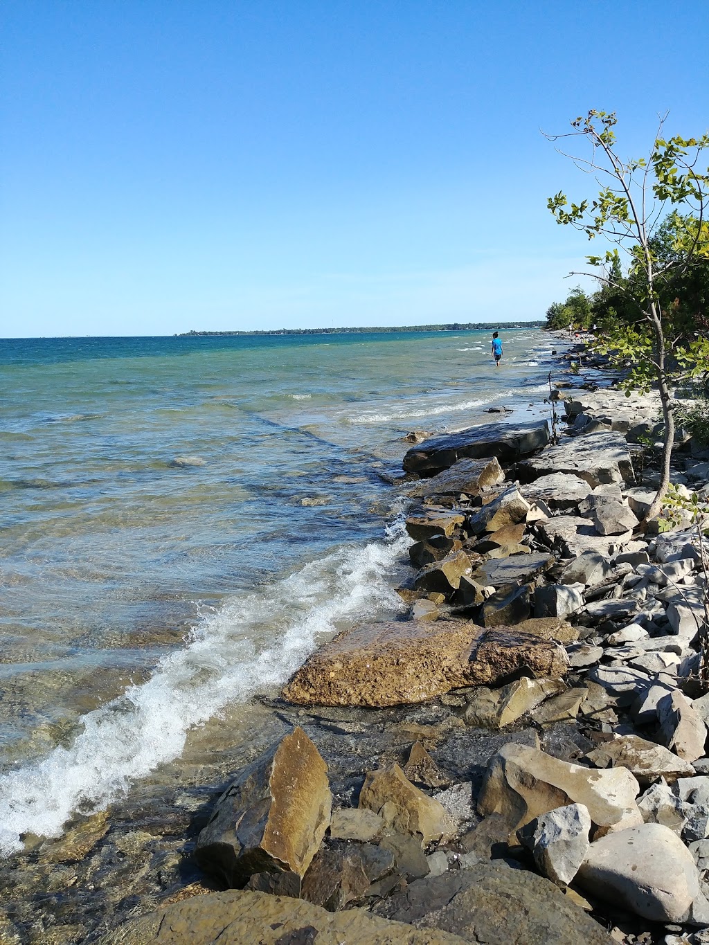 Craigleith Provincial Park | 209403 ON-26, The Blue Mountains, ON L9Y 0T6, Canada | Phone: (705) 445-4467