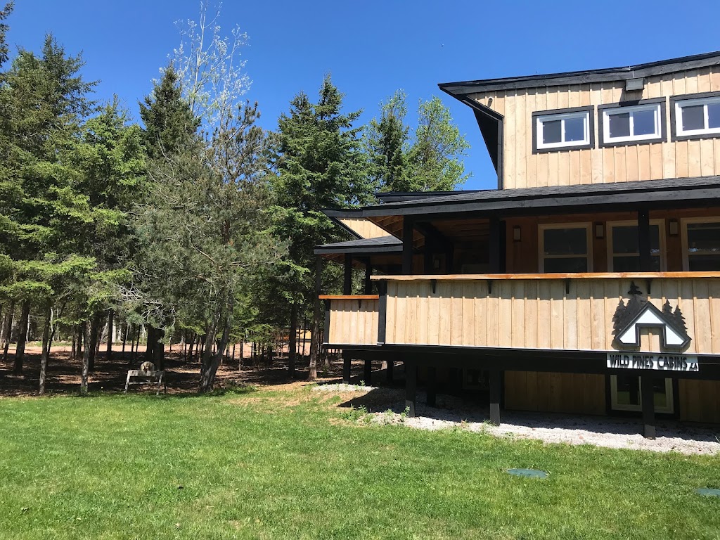 Wild Pines Cabins | 106 Selkirk Park Rd, Belfast, PE C0A 1A0, Canada | Phone: (902) 659-2266