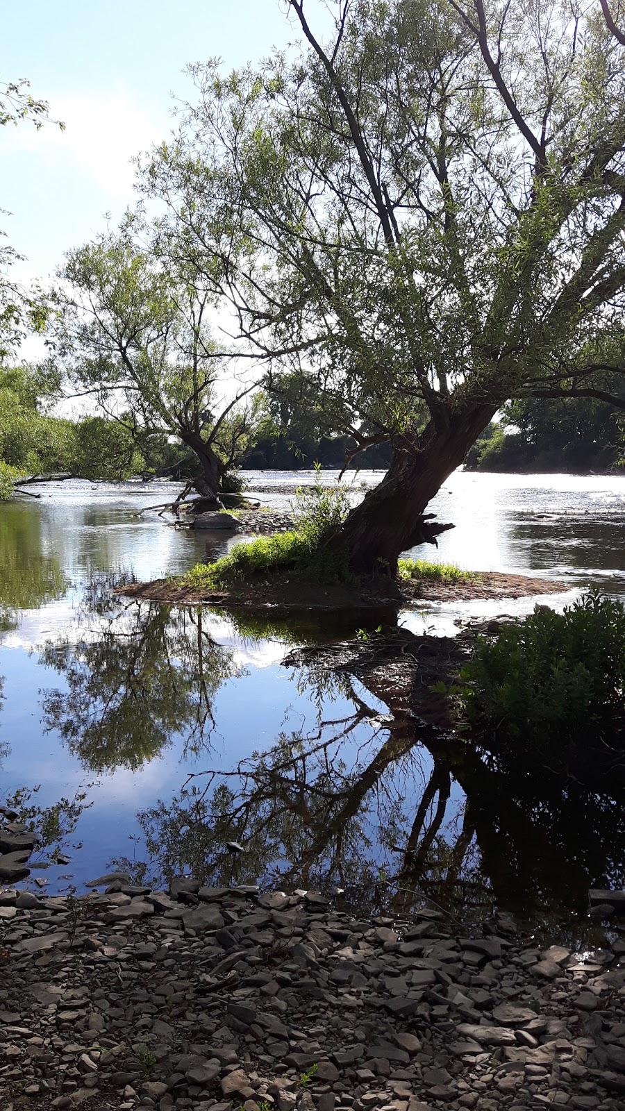 Britannia Conservation Area | Ottawa River Pathway, Ottawa, ON K2B 5X1, Canada