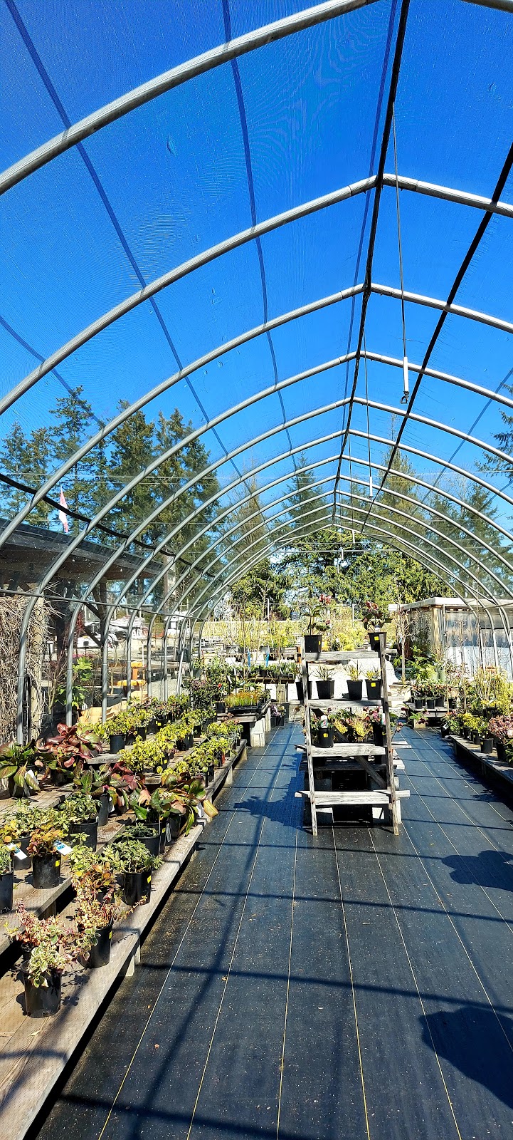 Arrowsmith Greenhouses | 2880 Alberni Hwy, Qualicum Beach, BC V9K 1Y3, Canada | Phone: (250) 752-1592