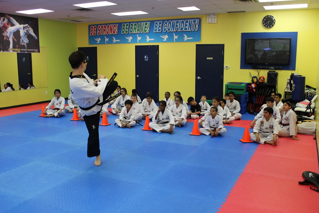 Master Parks Tiger Taekwondo / Martial arts | 17 Worthington Ave #5, Brampton, ON L7A 2Y7, Canada | Phone: (647) 499-7700