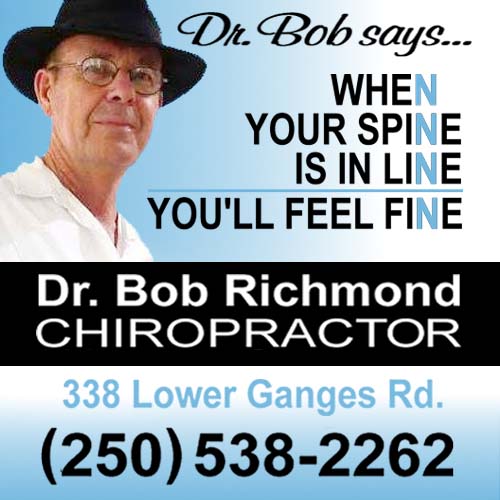 Dr. Bob Richmond - Chiropractor | 338 Lower Ganges Rd, Salt Spring Island, BC V8K 2V3, Canada | Phone: (250) 538-2262