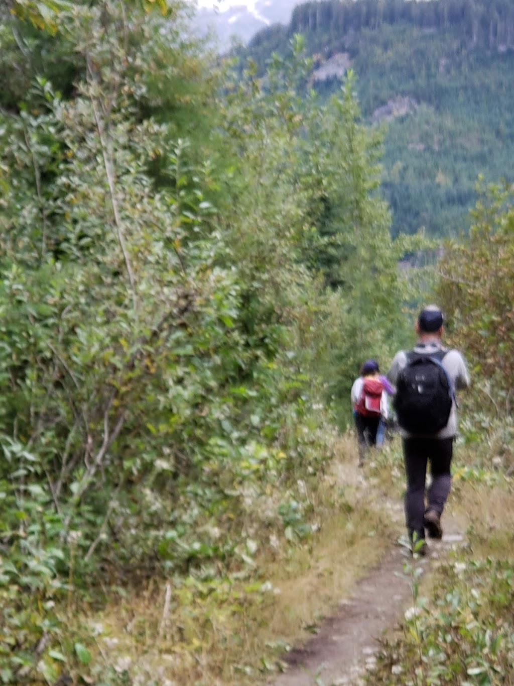 Watersprite Lake Trailhead | Unnamed Rd,, Squamish-Lillooet D, BC V0N 1J0, Canada