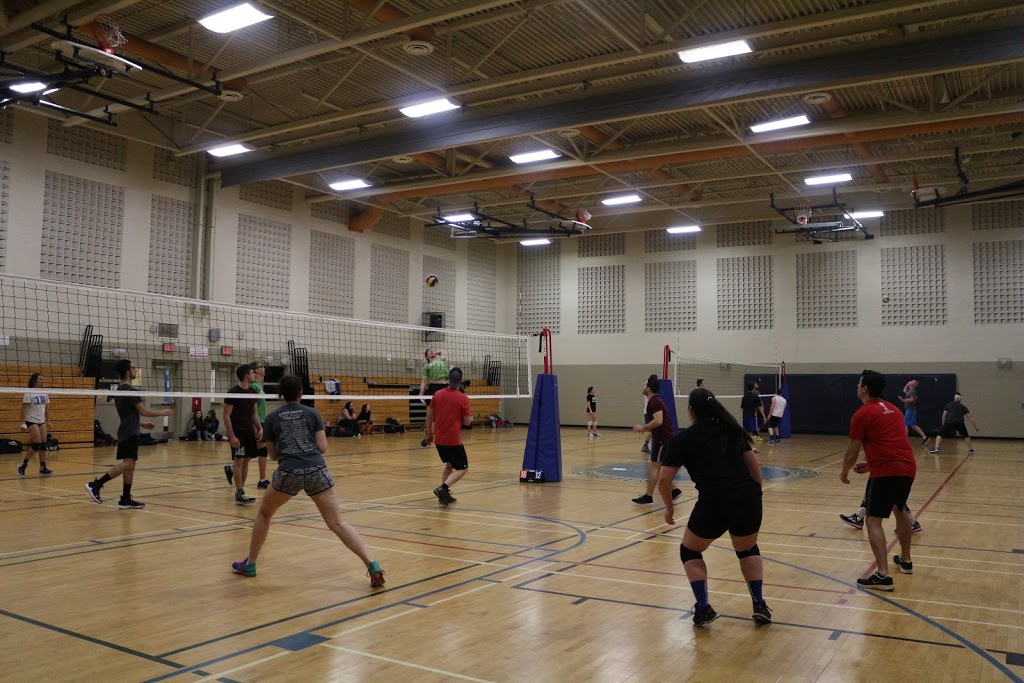 Viva Volleyball | John Walter Crescent, Courtice, ON L1E 2W7, Canada | Phone: (905) 550-5209