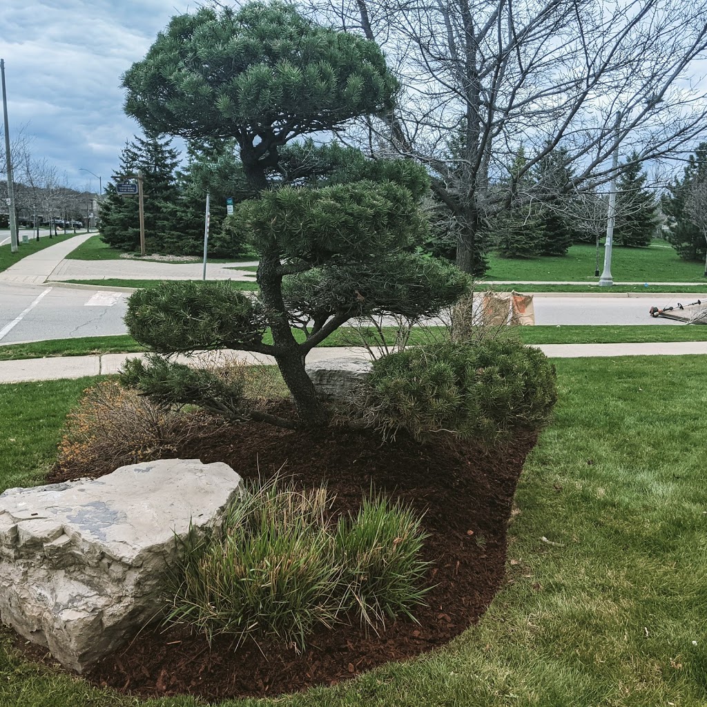 Connected Lawn Care | 146 Lakeshore Rd W Suite 484, Oakville, ON L6K 1E0, Canada | Phone: (416) 937-6702