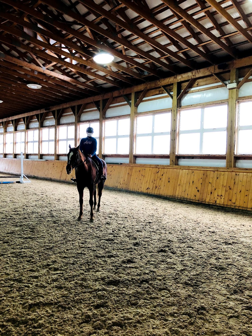 Top Rail Stables Inc. | 16406 5 Sideroad, Norval, ON L0P 1K0, Canada | Phone: (905) 877-8007