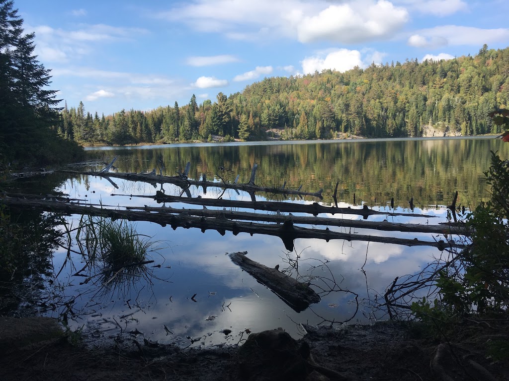 parc de la mauricie | Shawinigan, QC G9N 1E9, Canada