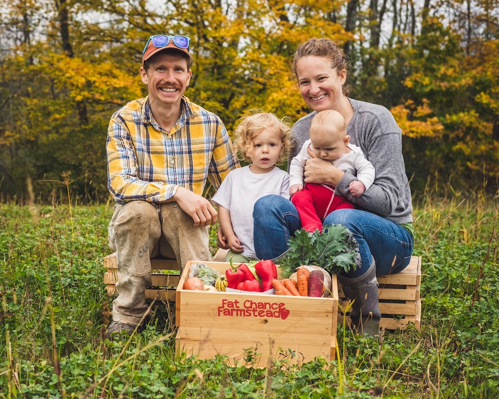 Fat Chance Farmstead, Kingston CSA Farm, Organic Strawberries | 3711 County Rd 38, Harrowsmith, ON K0H 1V0, Canada | Phone: (613) 539-5569