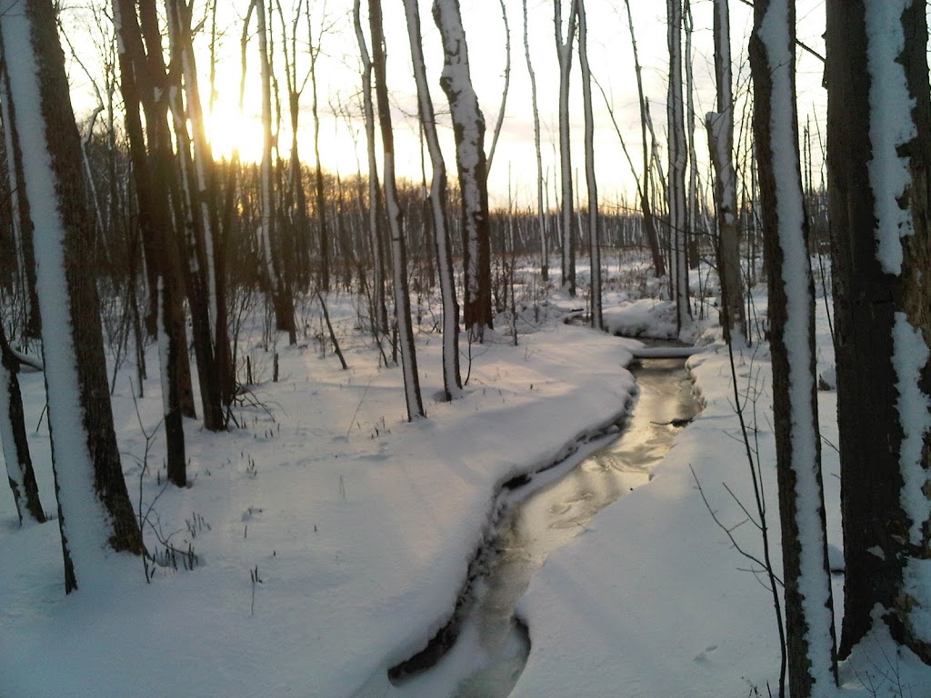 Bois-de-lÎle-Bizard Nature Park | 2115 Chemin du Bord-du-Lac, LÎle-Bizard, QC H9C 1P3, Canada | Phone: (514) 280-8517